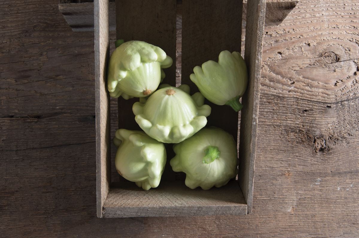 Jaune et Verte – Organic Patty Pan Squash Seed